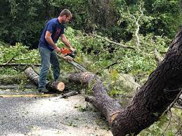 Leaf Removal in Franklin, NH